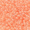 Glass Seed Beads SEED-H002-L-A235-3