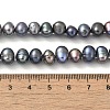 Dyed Natural Cultured Freshwater Pearl Beads Strands PEAR-A006-29A-5