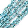 Natural Howlite Beads Strands X-G-G0003-B21-1