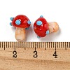 Handmade Lampwork Beads Strands LAMP-N025-03J-4