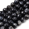 Natural Larvikite Beads Strands G-Q462-83-8mm-1