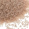 MIYUKI Round Rocailles Beads X-SEED-G009-RR2370-1
