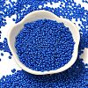 Baking Paint Glass Seed Beads SEED-P006-03A-25-2