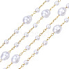 ABS Plastic Pearl Beaded Chains CHS-N003-15-3