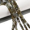 Natural Labradorite Beads Strands G-H087-D03-01-2