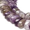 Natural Amethyst Beads Strands G-Q167-B12-01-4