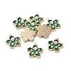 Enamel Pendants LS-KK-G377-05G-04-1