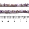 Natural Amethyst Beads Strands G-H080-A01-01A-5