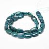 Natural Apatite Beads Strands G-F479-04-A-2