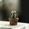 Porcelain Cactus Display Decorations PORC-PW0001-093-26-1