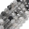 Natural Cloudy Quartz Beads Strands G-G030-A05-01-1