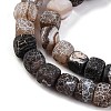 Natural Weathered Agate Beads Strands G-NH0038-01C-4