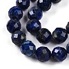 Natural Lapis Lazuli Beads Strands G-S345-10mm-24-4