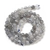 Natural Labradorite Beads Strands G-G140-A21-09-3