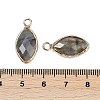 Natural Labradorite Faceted Pendants G-G193-01G-10-3