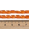 Transparent Glass Beads Strands GLAA-Z018-C21-4