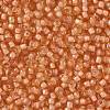 TOHO Round Seed Beads X-SEED-TR08-0301-2