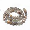 Natural Black Sunstone Beads Strands G-R446-10mm-33-2