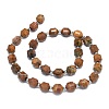 Natural Gemstone Beads Strands G-O201B-90-2