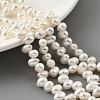Natural Cultured Freshwater Pearl Beads Strands PEAR-A006-27-2