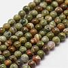 Natural Rhyolite Jasper Beads Strands G-N0183-01-3mm-1