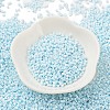 Baking Paint Glass Seed Beads X-SEED-S042-05B-64-2