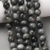 Natural Hawk's Eye Beads Strands G-L478-03-8mm-01-2