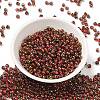 Glass Seed Beads SEED-H002-B-D205-2