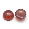 Natural Carnelian Cabochons X-G-P393-R03-10mm-2