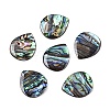 Natural Paua Shell Teardrop Cabochons SSHEL-T017-10-1