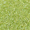 MIYUKI Delica Beads X-SEED-J020-DB0174-1