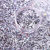 12 Colors Shining Nail Art Decoration Accessories for Christmas MRMJ-R091-22-4