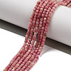 Natural Rhodonite Beads Strands G-H042-B43-01-2