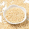 Baking Paint Glass Seed Beads SEED-B001-02A-09-2