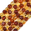 Two Tone Natural Amber Beads Strands G-K426-A03-05-2