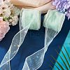Polyester Deco Mesh Ribbons OCOR-TAC0024-004G-6