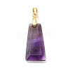 Natural Amethyst Pendants G-C045-01B-G-3