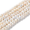 Natural Cultured Freshwater Pearl Beads Strands PEAR-E018-47-1