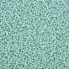 13/0 Glass Seed Beads SEED-T005-14A-A19-3