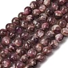 Natural Lepidolite/Purple Mica Stone Beads Strands G-G925-02B-2