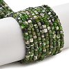 Natural Diopside Beads Strands X-G-G161-C23-01-1