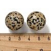 Natural Dalmatian Jasper Round Ball Figurines Statues for Home Office Desktop Decoration G-P532-02A-32-3