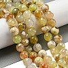 Faceted Natural Fire Crackle Agate Beads Strands G-F447-12mm-H01-2