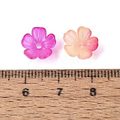 Transparent Plastic Bead Caps KY-Q005-02A-08-1