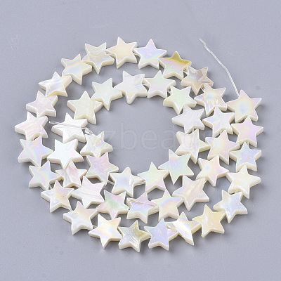 Freshwater Shell Beads Strands SHEL-N026-07A-1