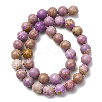 Natural Lepidolite/Purple Mica Stone Beads Strands G-K401-A01-10mm-1