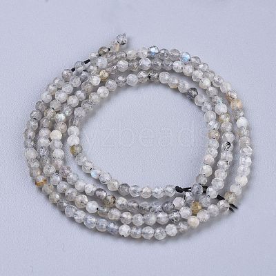 Natural Labradorite Beads Strands X-G-R475-025A-1