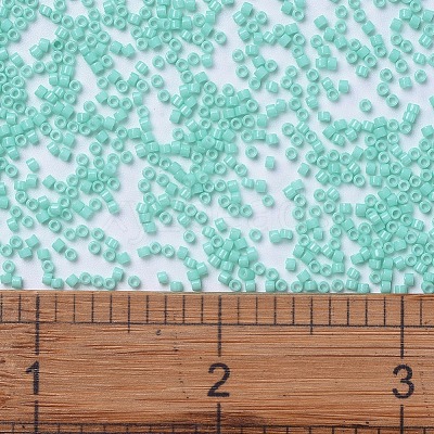 MIYUKI Delica Beads SEED-J020-DB2122-1