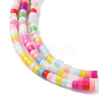 Handmade Lampwork Beads Strands LAMP-L078-008F-1