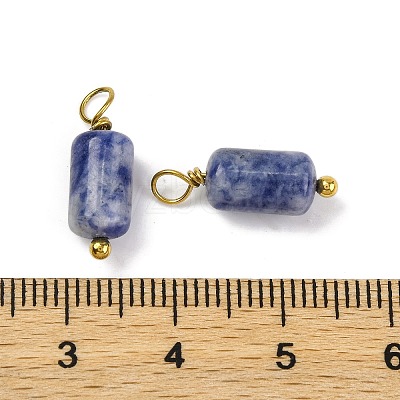 Natural Sodalite Cloumn Pendants STAS-H221-04G-06-1